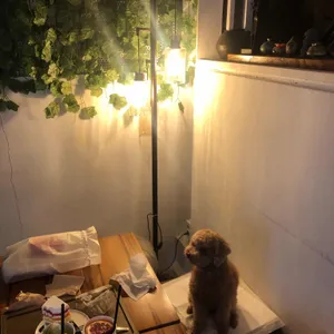 네이버후드 리뷰 사진