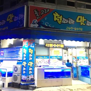 돌고래 철따라맛따라 리뷰 사진