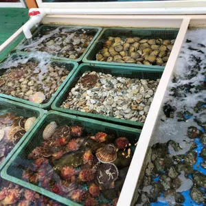 산새도횟집 사진