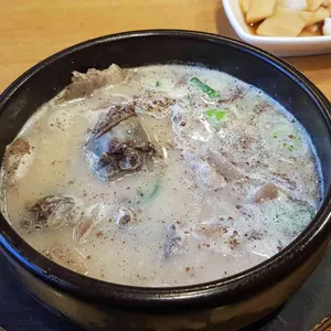 담미온 사진