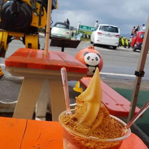 우도왕자 사진