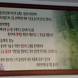 왕가네칼국수 리뷰 사진