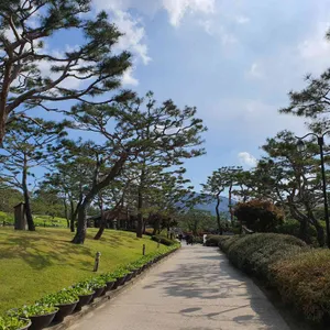 서일농원 솔리 리뷰 사진