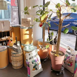 바질12 리뷰 사진