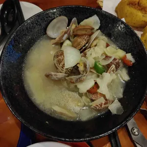 치치 사진