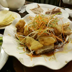 마오 사진