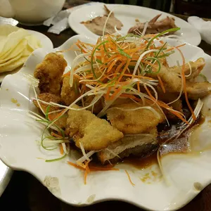 마오 사진
