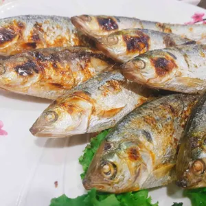 빛나는바다 리뷰 사진