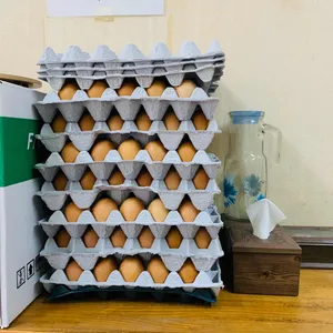 개미분식 리뷰 사진