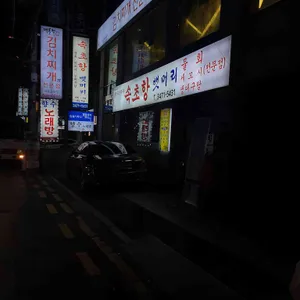 속초항뱃머리 리뷰 사진