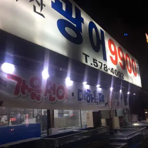 광어9900 리뷰 사진