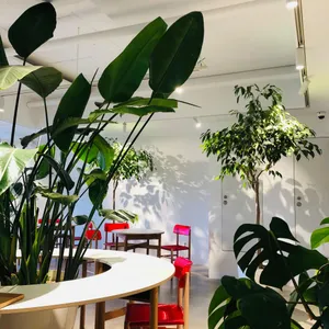 피크닉 리뷰 사진