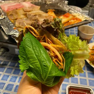 영스타 사진
