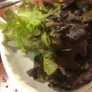 황금유황오리 부추덕 사진