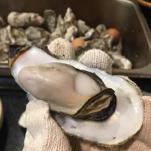 여수굴집 사진