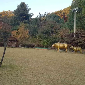 본가갈비 리뷰 사진