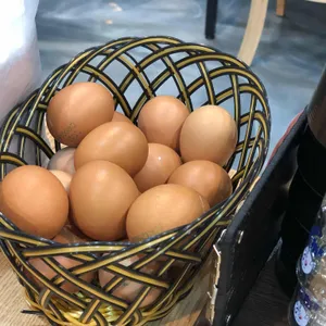 장가네 일품순두부 리뷰 사진