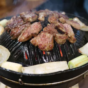 로지 사진