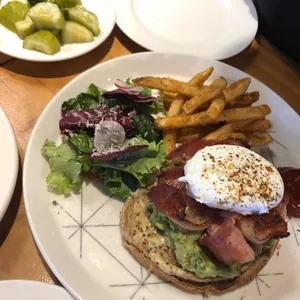 고양이똥 리뷰 사진