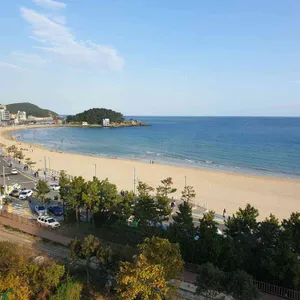 다솥맛집 리뷰 사진