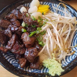 홍대개미 사진