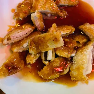 Xin 사진