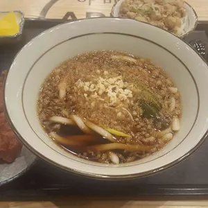 아비꼬 사진