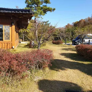 대가 리뷰 사진