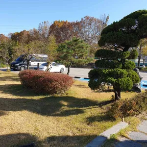 대가 리뷰 사진