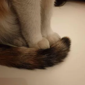 더홈서울 리뷰 사진