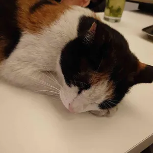 더홈서울 리뷰 사진