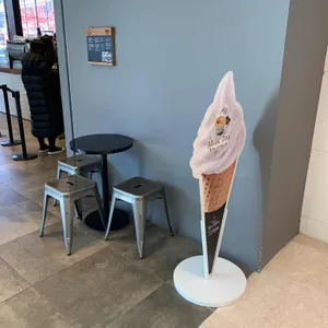 폴바셋 리뷰 사진