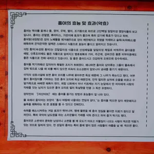 강동홍어 리뷰 사진