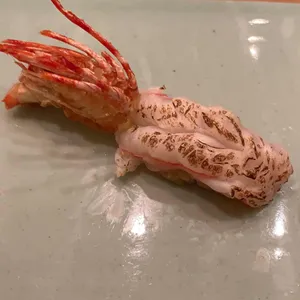 슈치쿠 리뷰 사진