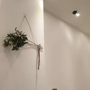 월간커피 리뷰 사진