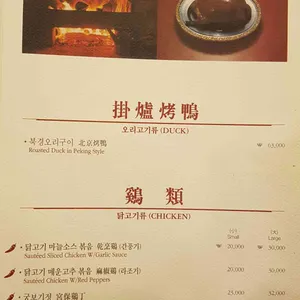 베이징코야 리뷰 사진
