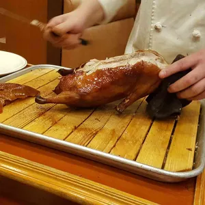 베이징코야 사진