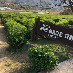 매암차 박물관 리뷰 사진