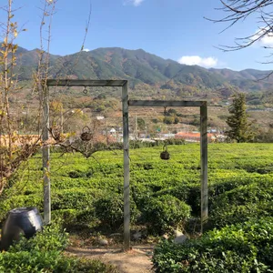 매암차 박물관 리뷰 사진