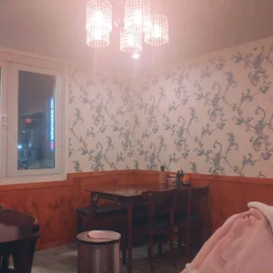 방콕66 리뷰 사진