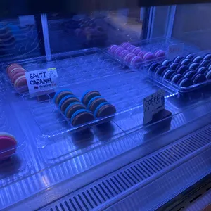 호라이즌16 사진