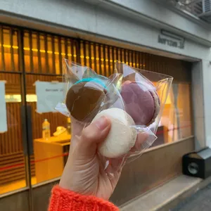 호라이즌16 사진