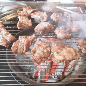 조선화로집 사진