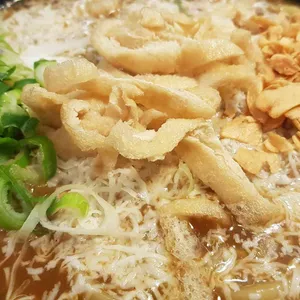 아비꼬 사진