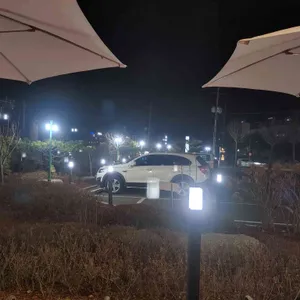 플로라늘카페 리뷰 사진