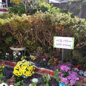 자연채 리뷰 사진