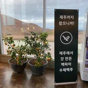 새빌 리뷰 사진