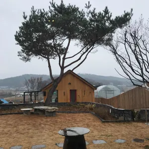 파베뉴 리뷰 사진