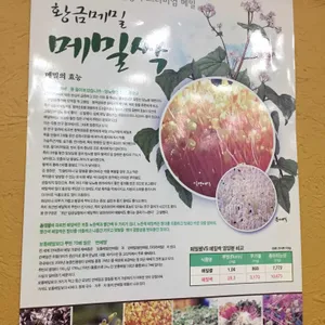 통메밀국수 리뷰 사진