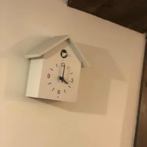 카페 키이로 리뷰 사진